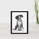 Buscar boxer dog tarjetas Boxeador