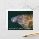 Buscar llave de la florida fotografía Para todos