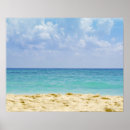 Buscar clima tropical posters Arena