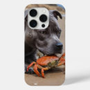 Buscar perro bull terrier iphone fundas Divertido