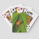 Buscar adultos barajas de cartas Verde