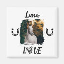 Buscar caballo del amor imanes Para todos