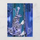 Buscar gatos blancos postales Saludo