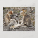 Buscar maternal postales Amor