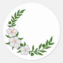 Buscar pureza etiquetas Inocencia