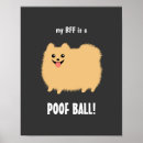 Buscar pomeranian arte Animales