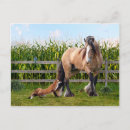 Buscar ganaderos postales Animales