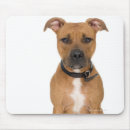 Buscar pit alfombrillas de raton Perro