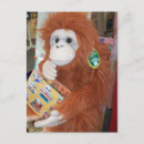 Buscar primate postales Vestir