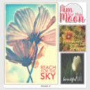 Buscar indio manualidades Floral