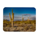Buscar cactus del saguaro imanes Norteamérica