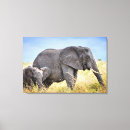 Buscar animales africanos lienzos Elefante africano