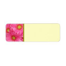 Buscar gerbera rojo Amarillo