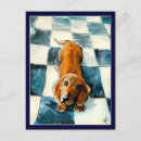 Buscar doxie postales Limpiador