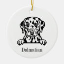 Buscar perros dálmatas decoracion Perro dalmátiano