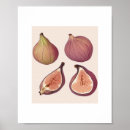 Buscar frutas arte General y unisex