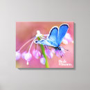 Buscar mariposa azul lienzos Mariposas