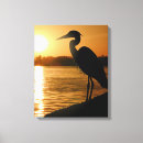 Buscar heron lienzos Animal