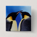 Buscar pinguino de emperador pins Animal