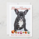 Buscar perro bulldog tarjetas Foto