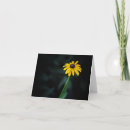 Buscar minimalistic tarjetas General y unisex