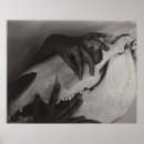 Buscar skull fotografía Vintage