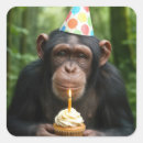 Buscar humor del chimpancé postales 7 º raspa