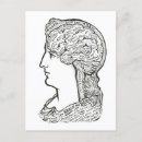 Buscar frenología postales 9 º cerebral