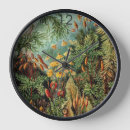 Buscar ernst haeckel relojes de pared Botánico