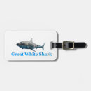 Buscar carcharodon Muerte blanca