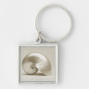 Buscar nautilus llaveros Animal