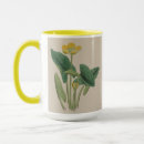 Buscar chupar tazas De café