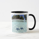 Buscar secuestrado tazas Tropical