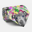 Buscar de bull terrier corbatas Animal