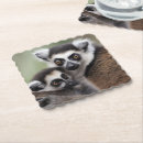 Buscar lemur posavasos Lémur