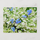 Buscar lirio de los valles postales Flores