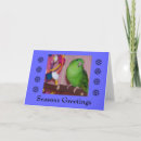 Buscar loros tarjetas Parakeets