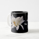 Buscar daisy tazas Nombre