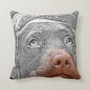 Buscar chocolate labrador cojines Raza de perro