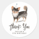 Buscar perros chihuahua pegatinas Gracias