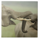 Buscar asiático azulejos 8 º masacre