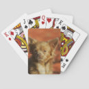 Buscar headshot barajas de cartas Foto