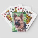 Buscar perros barajas de cartas Gato