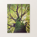 Buscar musgo puzzles Maderas