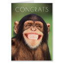Buscar chimpancé divertido postales Fotografía