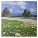 Buscar japonés azulejos Mar