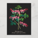 Buscar corazones y flores postales Rosa