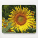 Buscar semilla alfombrillas de raton Bigote