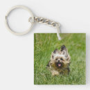 Buscar yorkshire terrier llaveros Adorable