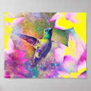 Buscar colibrí posters Aves
